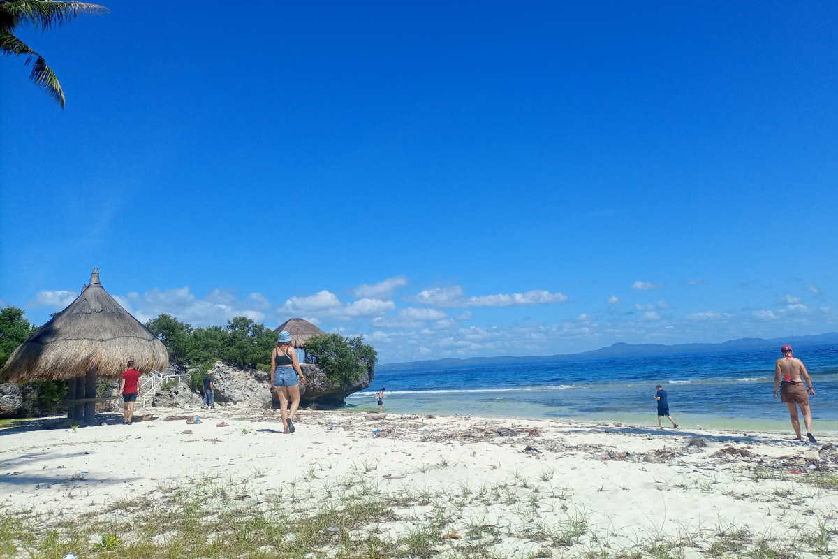 Pamilacan Island Hopping